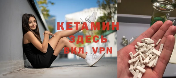 крисы Алексин